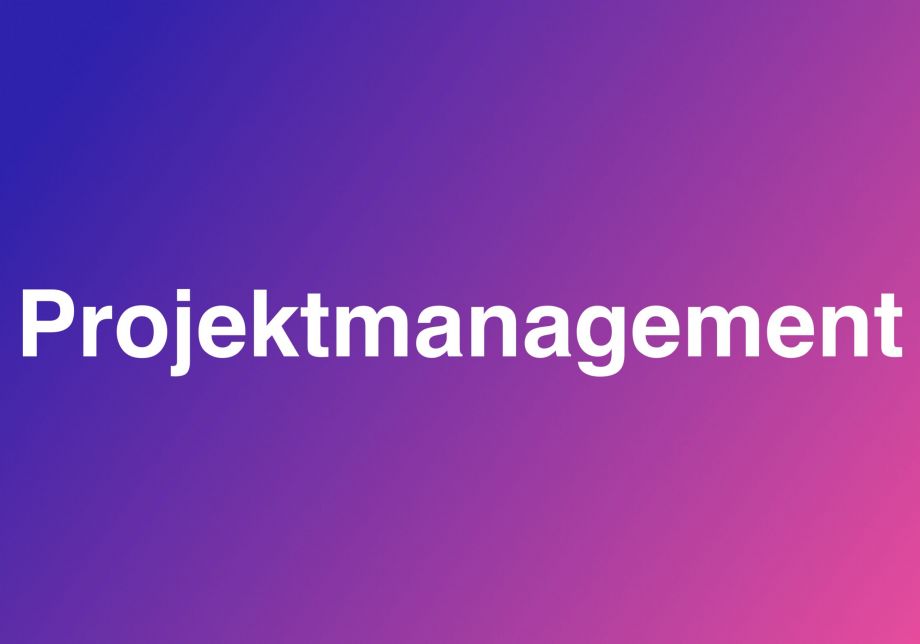 Projektmanagement