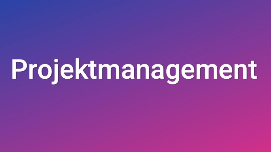 Projektmanagement